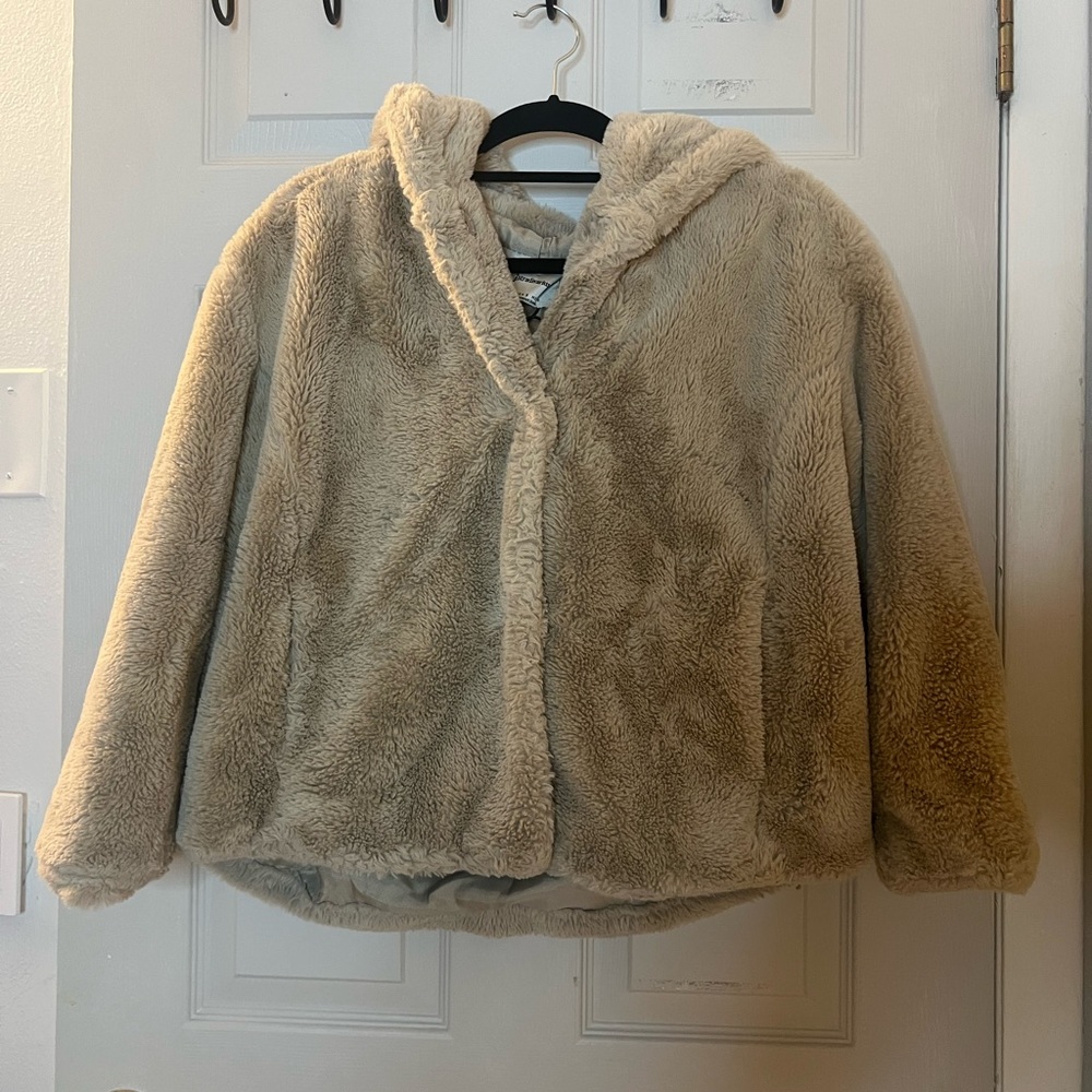 Winter Coat